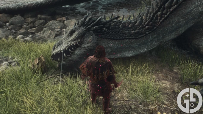Image of my character stood in front of a dead Drake in Dragon's Dogma 2