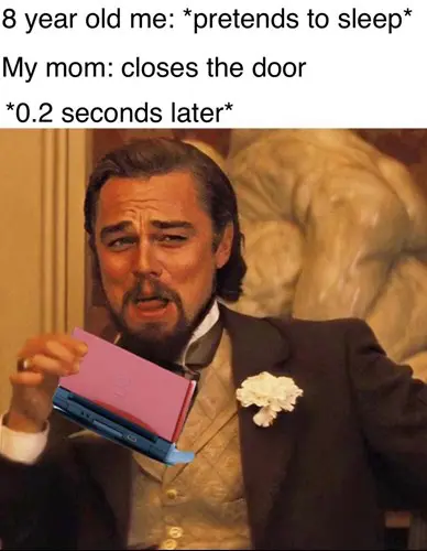 My Nintendo DS was my pride and joy