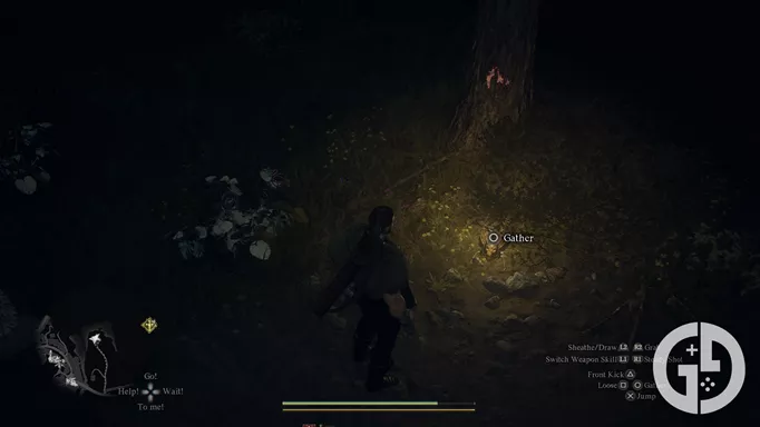 Picking up a Golden Beetle at night near a tree in Dragon's Dogma 2