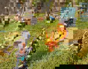 palworld-happy-foxparks.jpg