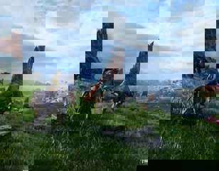 avatar-frontiers-of-pandora-co-op.jpg