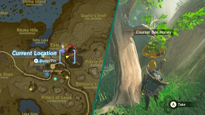 Screenshot of courser bee honey and the courser bee honey map location in Zelda: Tears of the Kingdom