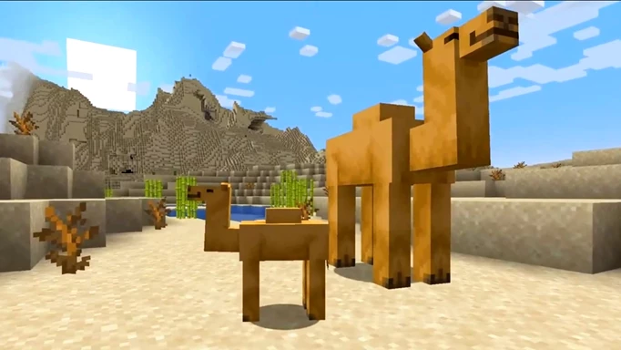 an image of the camels in Minecraft 1.20 Trails and Tales
