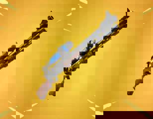 c6ec8d2d90c17f2dimage_101jpeg.jpeg