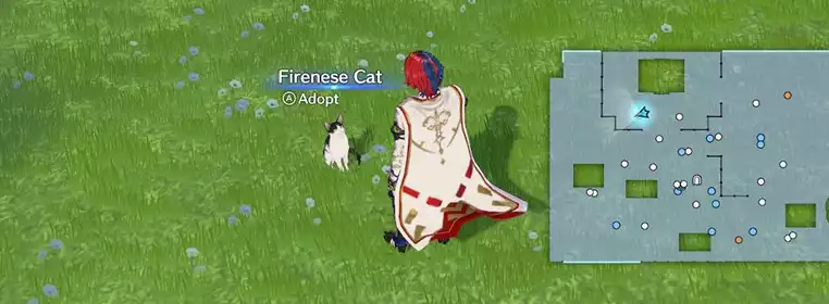 How To Adopt Pets In Fire Emblem Engage