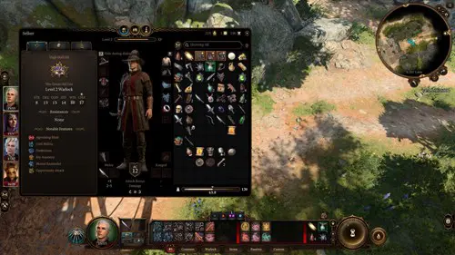 an image showing the option to hide a helmet during cutscenes in Baldur's Gate 3