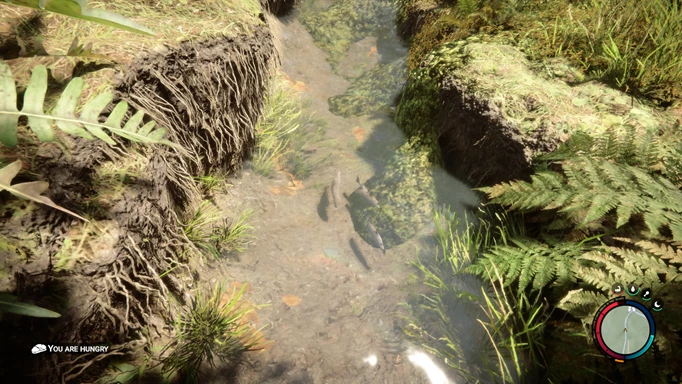 Fish locations in Sons of the Forest