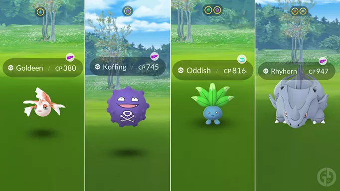 New ditto disguises, how yall feeling? : r/pokemongo
