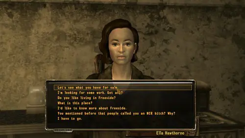 Fallout: New Vegas Mod