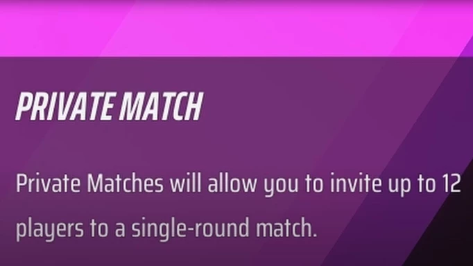 Details on Private Matches in THE FINALS
