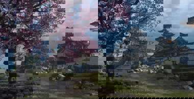warzone-castle.jpeg