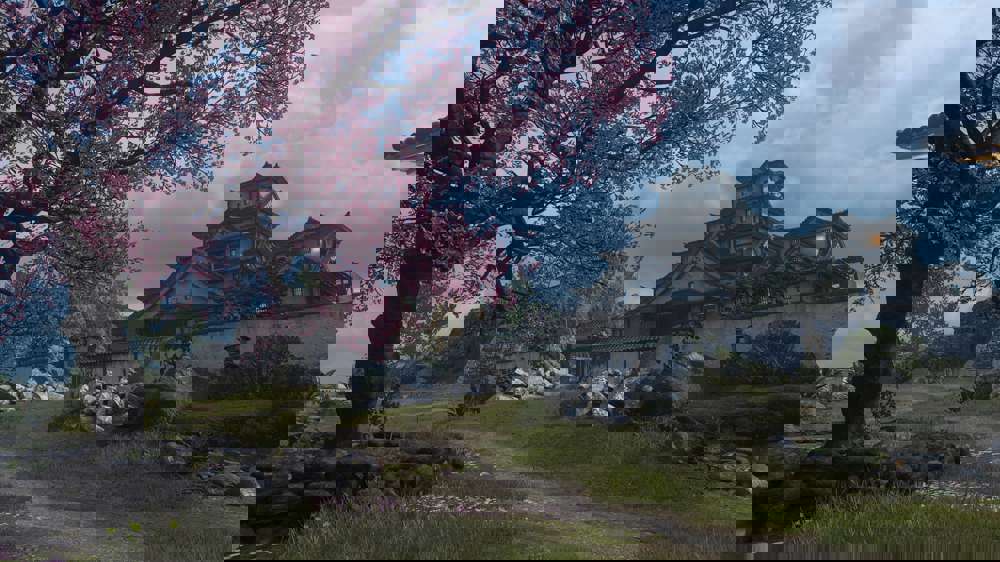 warzone-castle.jpeg