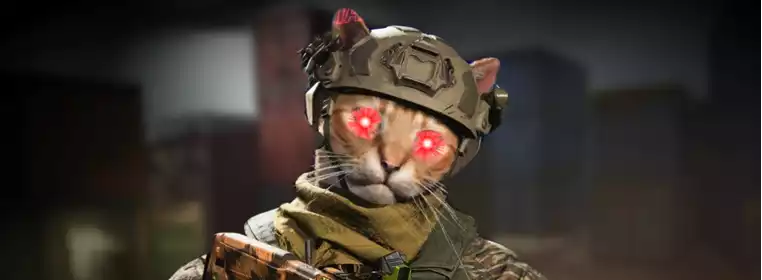 Laser cats in MW2 are infuriating Mil-Sim CoD fans