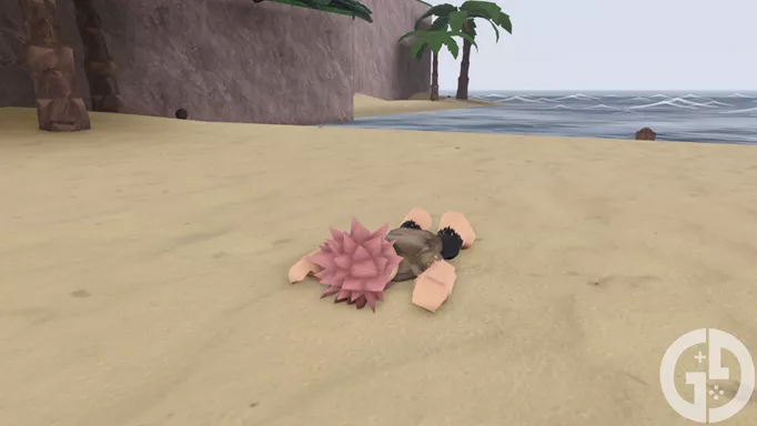 Image of a character asleep on a beach in Arcane Odyssey