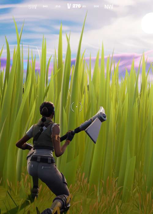 Where to find tall grass for the Fortnite Tall Grass challenge