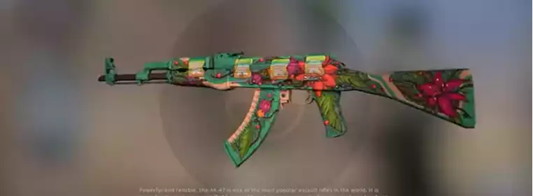 CS:GO AK-47 skin sells for more than a Ferrari, a house, and a yacht