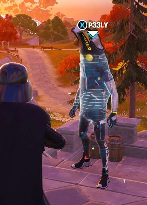 Where to find P33LY, NEURALYNX, & CRZ-8 in Fortnite