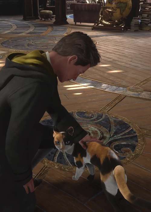 How to pet cats in Hogwarts Legacy