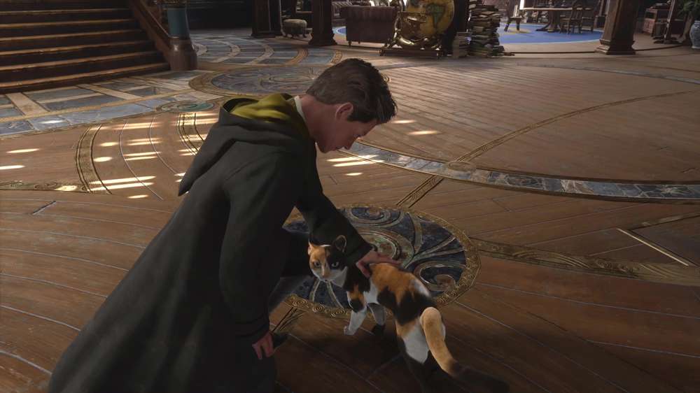 How to pet cats in Hogwarts Legacy