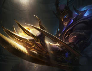 zed_13jpg.jpg