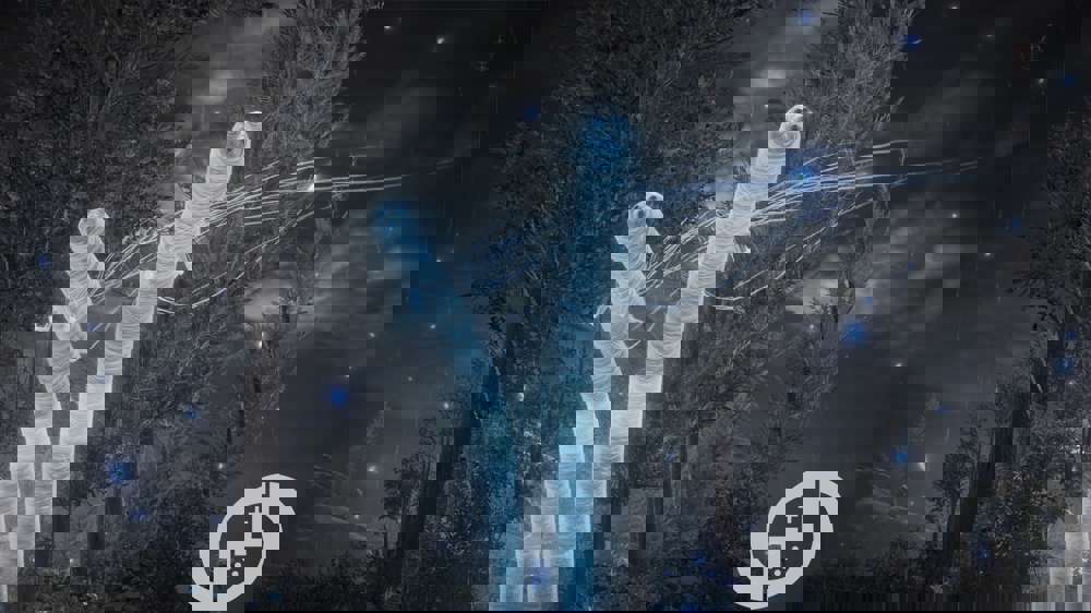 Elden Ring Shadow of the Erdtree Beginner's Guide: How to start, where to go first & more