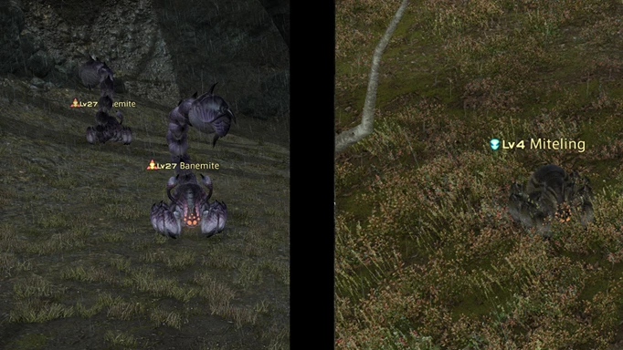 FFXIV Diremite Web drops from specific creatures in Eorzea