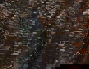 dragons-dogma-2-mystic-spearhand-attack.jpg