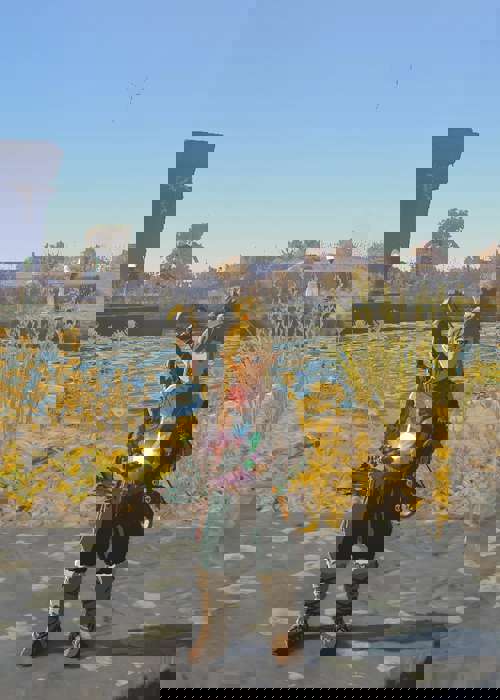 How to find & catch fairies in Zelda: Tears of the Kingdom