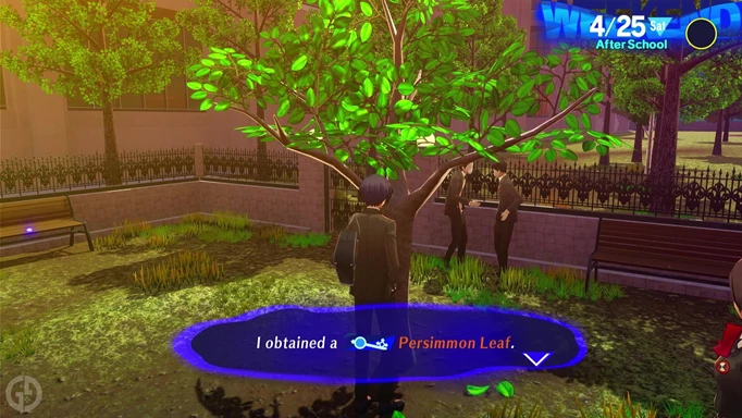The Persimmon Leaf key item after finding the persimmon tree location in Persona 3 Reload