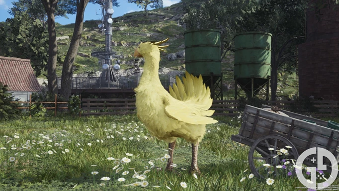Image of a Chocobo in Final Fantasy 7 Rebirth