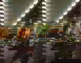 Escape From Tarkov Beluga Tree