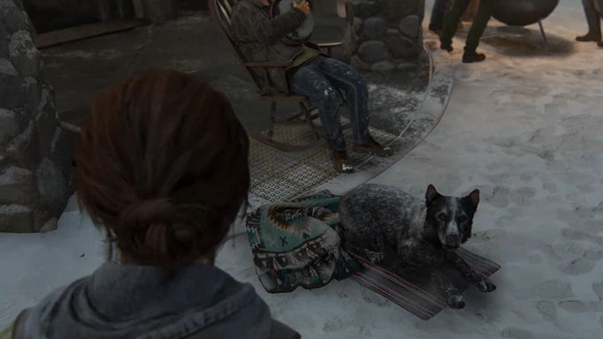 Buckley The Last Of Us
