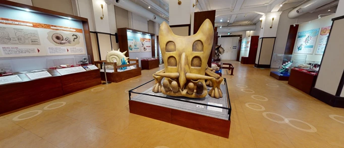 Japan's Pokemon Fossil Museum Looks Incredible
