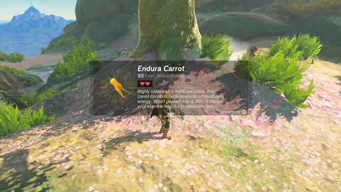 Finding an endura carrot in Zelda: Tears of the Kingdom