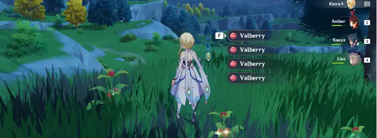 Genshin Impact Valberries: Locations, How To Get