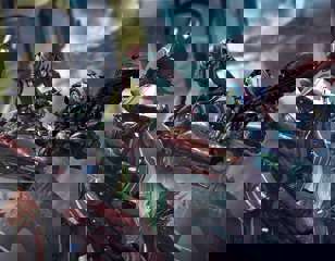 warframe-internal-bleeding.jpg