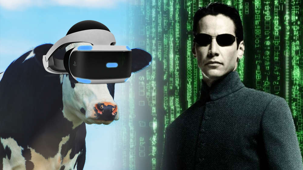 metaverse-cows.jpg