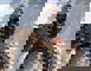 god-of-war-ragnarok-increase-max-rage.jpg