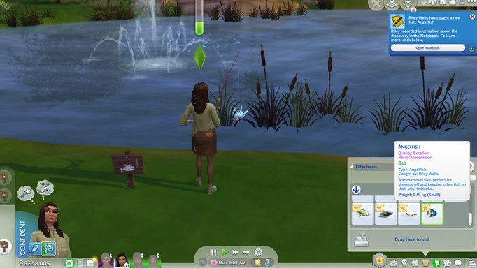 Catch an angelfish in The Sims 4
