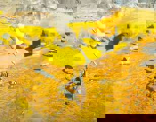 tears-of-the-kingdom-fuse-recipes.jpg