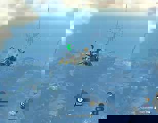 sky-fish-from-a-distance-cover-totk.jpg