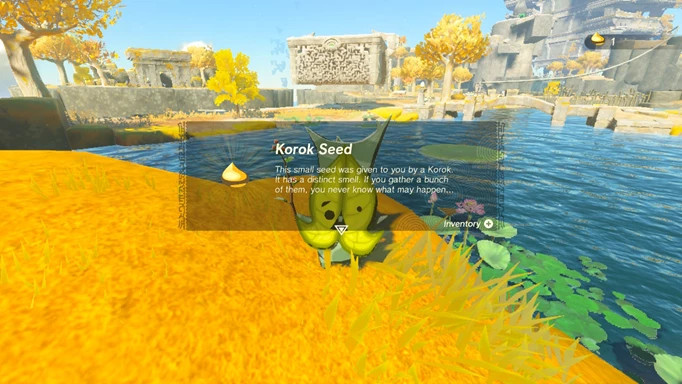 Image shows a Korok giving you a Korok Seed in The Legend of Zelda: Tears of the Kingdom