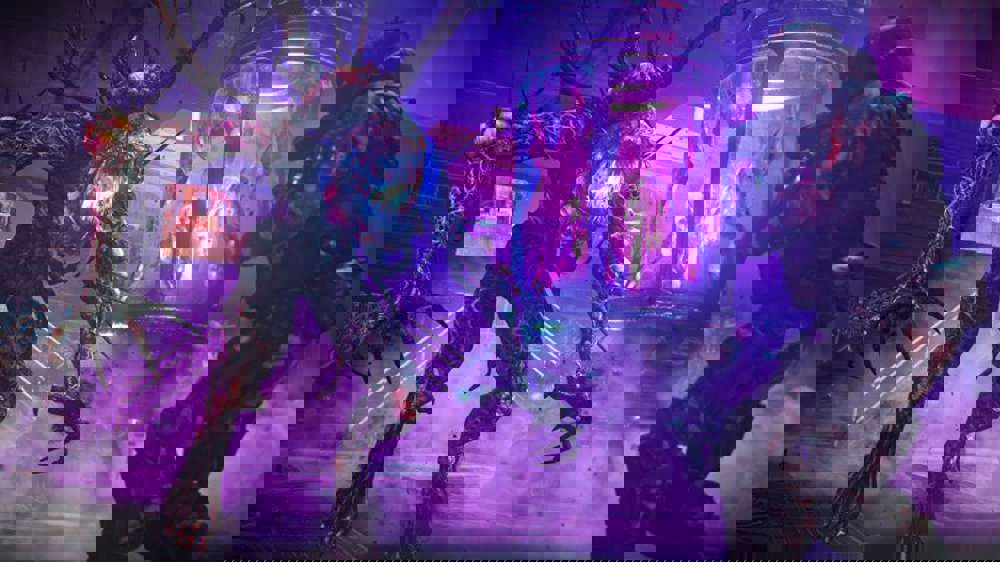 firebasezjpg.jpg