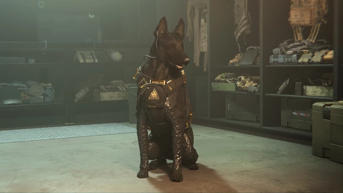 screenshot showing a tactical pet from warzone 2
