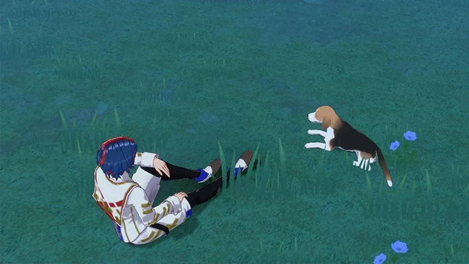 Fire Emblem Engage Adopt Pets: the player sitting with a dog in the Farmyard