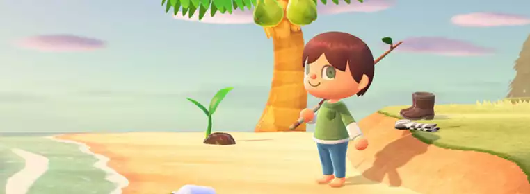 All the Most Exciting Summer Updates for Animal Crossing: New Horizons