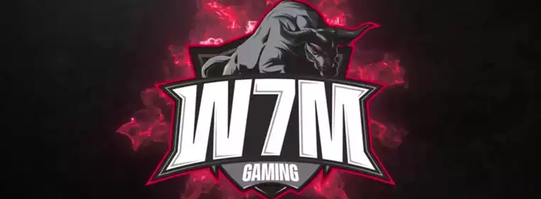 W7M Investments Group Shut Down Their Esports Division