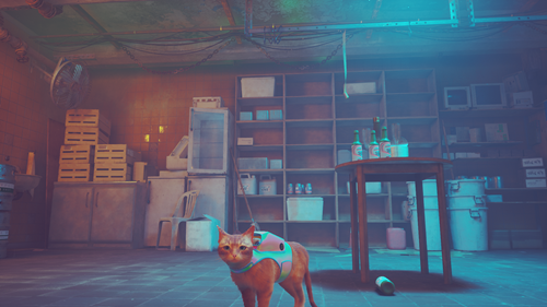 Where to find all of B12's memories in Stray