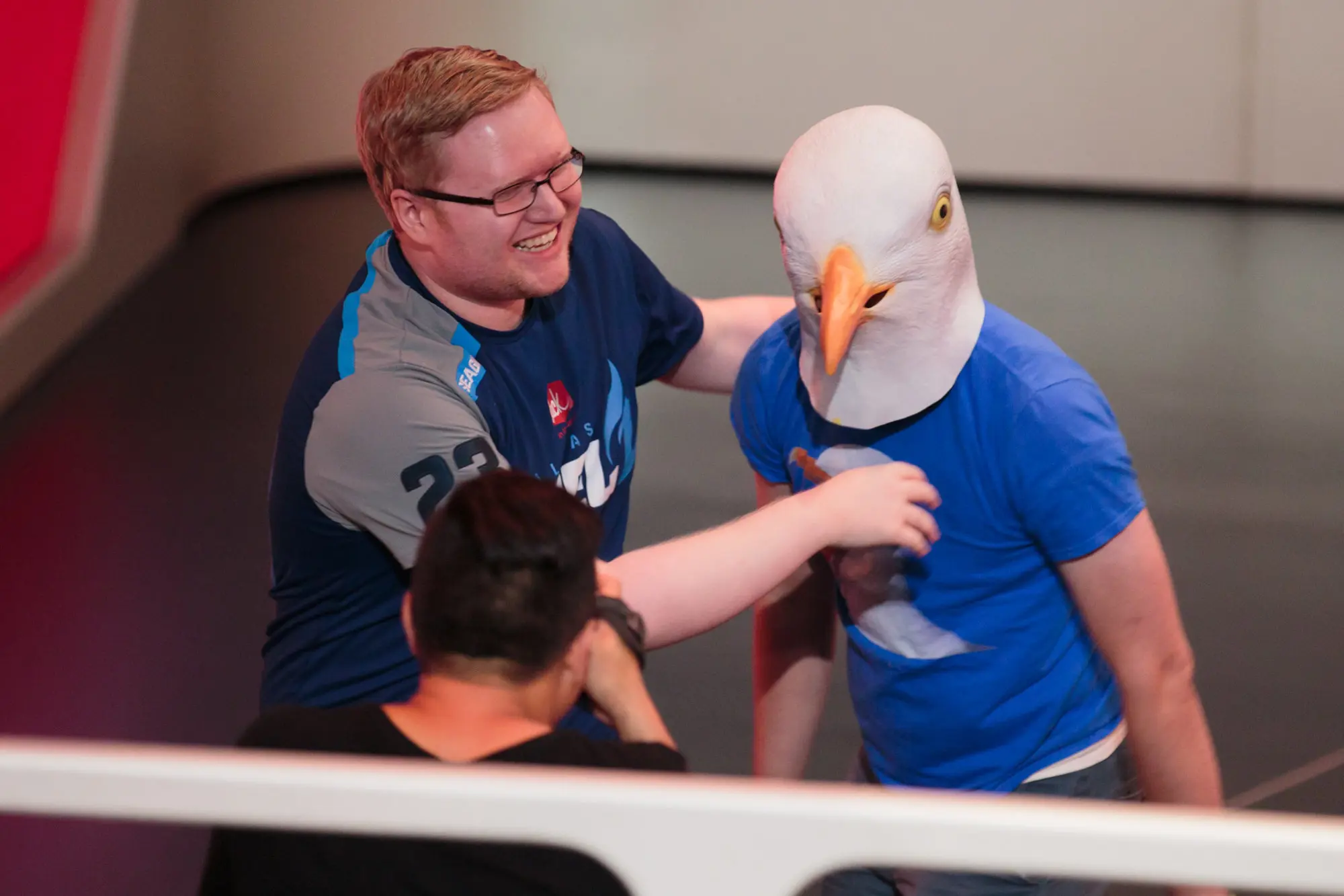 Seagull for Dallas Fuel