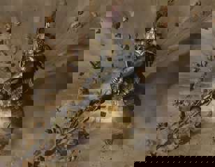 dragons-dogma-2-warrior-attack.jpg